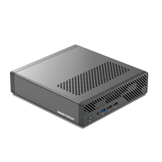 MINISFORUM MINI PC MS-01 1 RU